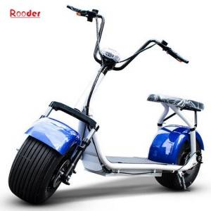 city scrooser harley electric scooter with two seats 1000w motor lithium battery front rear and turnning lights from rooder/seev/woqu factory exporter company