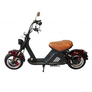 mangosteen citycoco chopper scooter m2 for sale