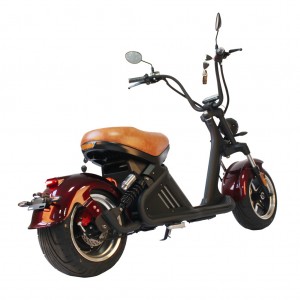 mangosteen citycoco chopper scooter m2 for sale