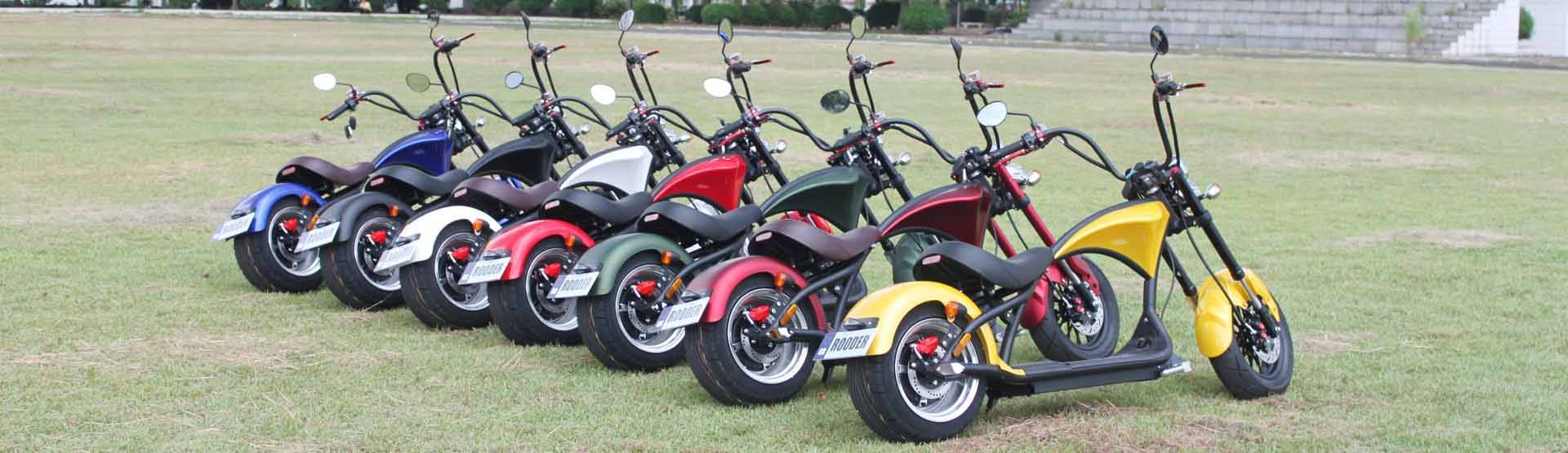 citycoco elektrisk scooter