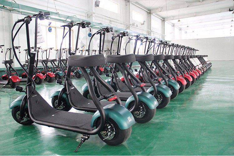Wholesale high quality Rooder 2 wheel electric kick scooter r804m Mini harley electric scooter
