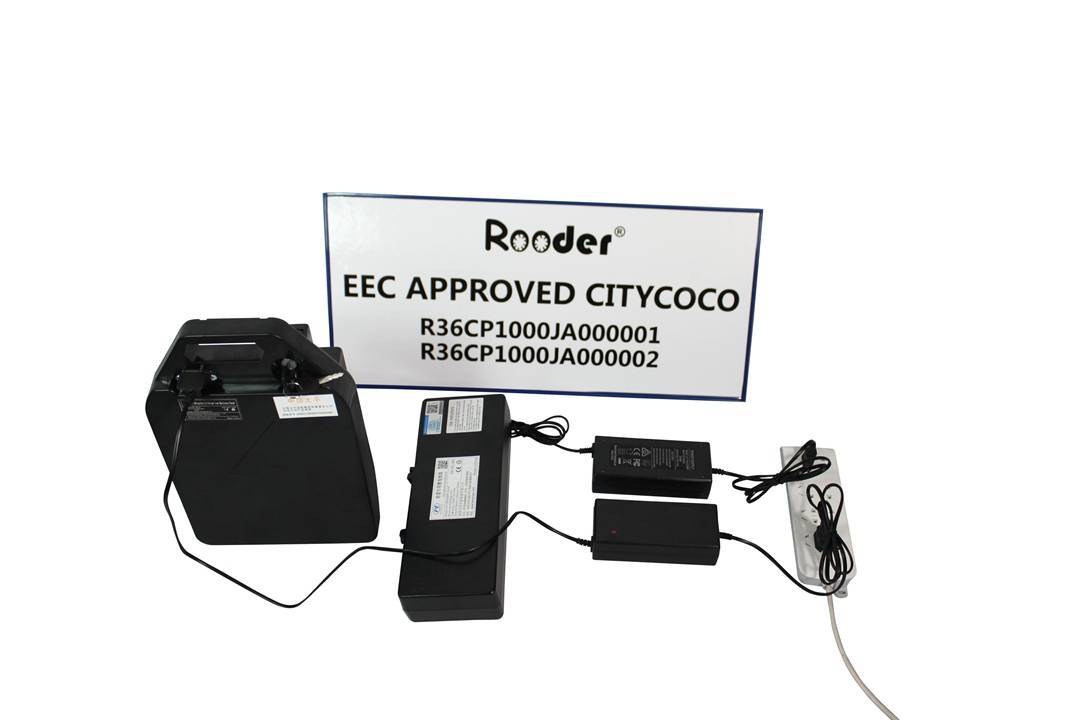 2 हटाने योग्य बैटरी के साथ बिजली के स्कूटर Rooder r804r citycoco EEC