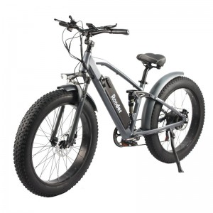 Rooder electric bicycle 48v 750w 15ah r809-s7 for sale