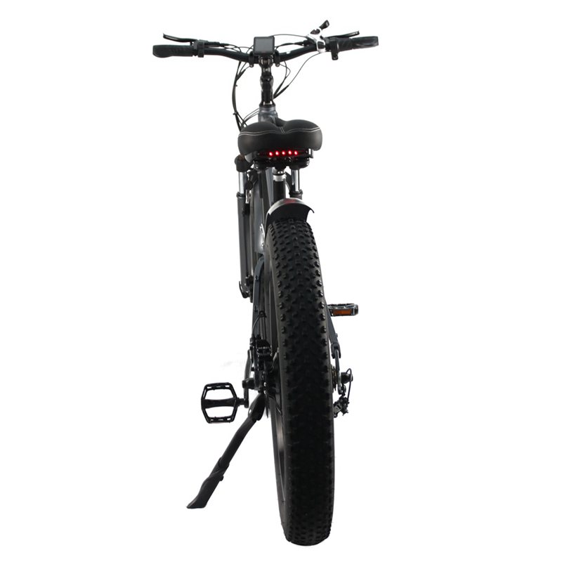 Rooder electric bicycle 48v 750w 15ah r809-s7 for sale