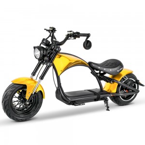 citycoco scooter Rooder m1p custom 2000w 3000w road legal for sale