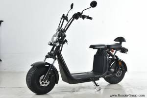 e24*168/2013*00032-01 e24-168-2013-00032-01 citycoco electric scooter rooder eec coc
