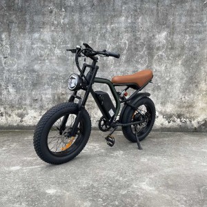 electric bicycle Rooder cb02 48v 500w 20a for adults for sale