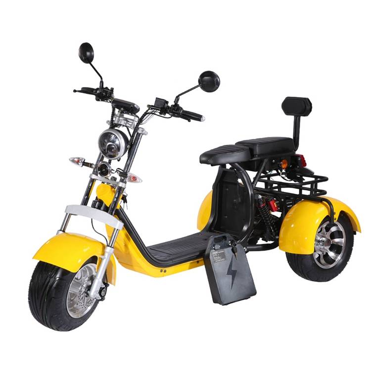 holland warehouse adult 2000w 60V 40Ah 20Ah removable battery EEC COC citycoco tricycle 3 wheel electric scooter Featured Image