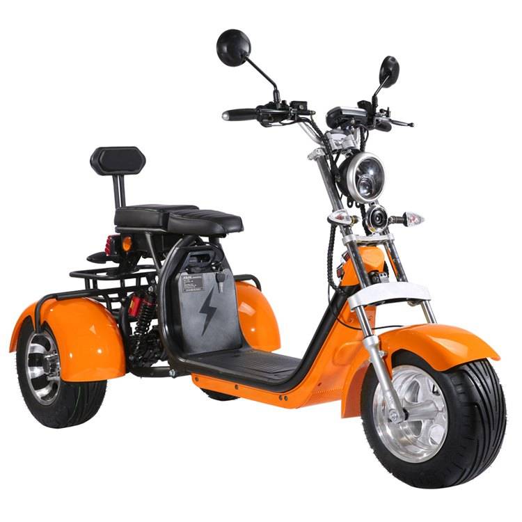 holland warehouse adult 2000w 60V 40Ah 20Ah removable battery EEC COC citycoco tricycle 3 wheel electric scooter