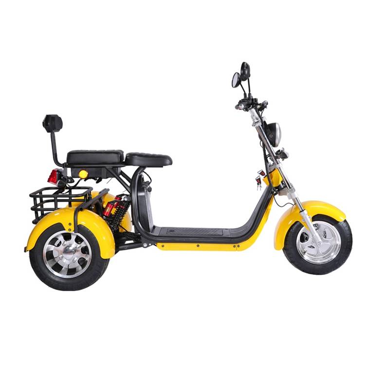 holland warehouse adult 2000w 60V 40Ah 20Ah removable battery EEC COC citycoco tricycle 3 wheel electric scooter