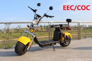 scooter electrique harley eec approval