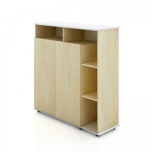 Saosen group low storage cabinet / office