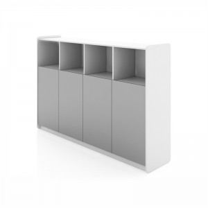 Saosen group Neofront brand low cabinet with doors and shelf / office furniture