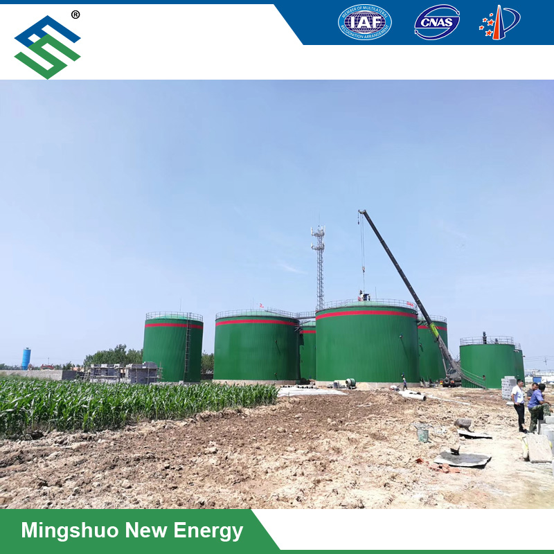 Cheap PriceList for Wheat Straw - Large-Scale Biogas Plant for Organic Waste Treatment – Mingshuo
