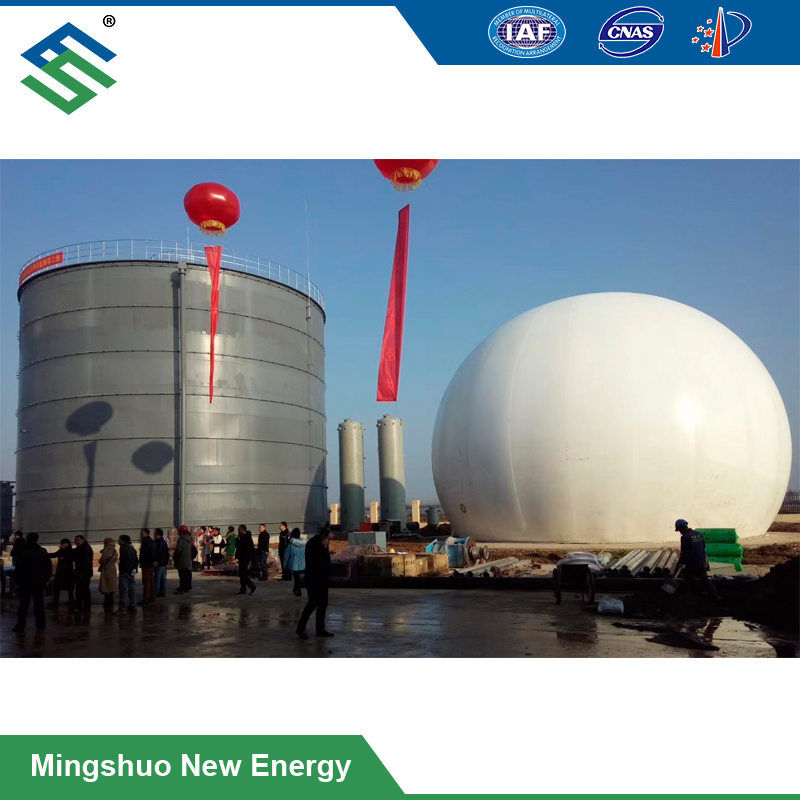 5000 cubic meters biogas plant