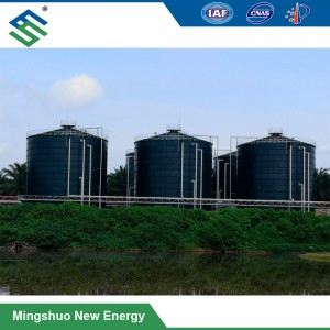 Biogas Anaerobic Digester Plant for Pig Manure Treatment