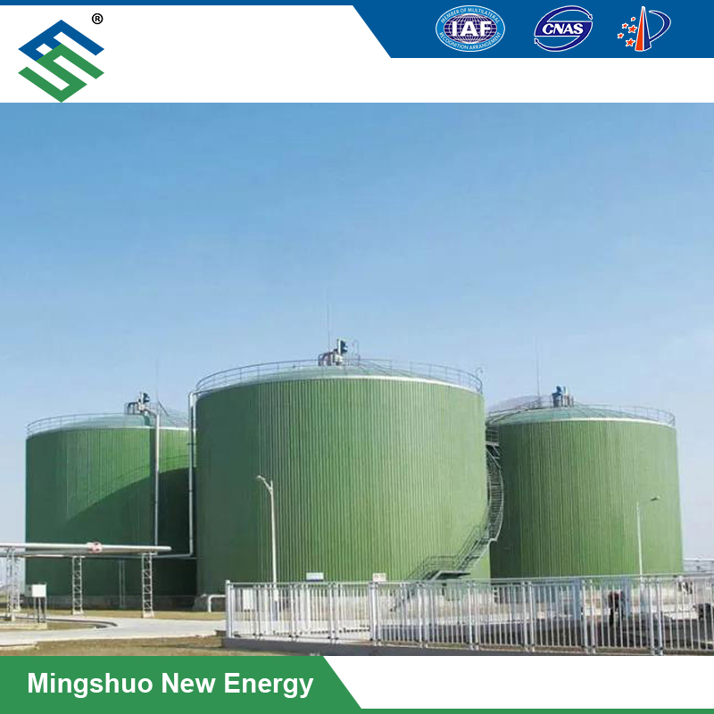 OEM Manufacturer Biogas - Bio-Reactor Fermenter for Cow Manure Treatment – Mingshuo