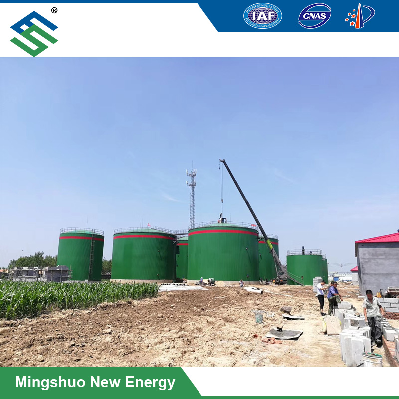 Cheap PriceList for Wheat Straw - Large-Scale Biogas Plant for Organic Waste Treatment – Mingshuo