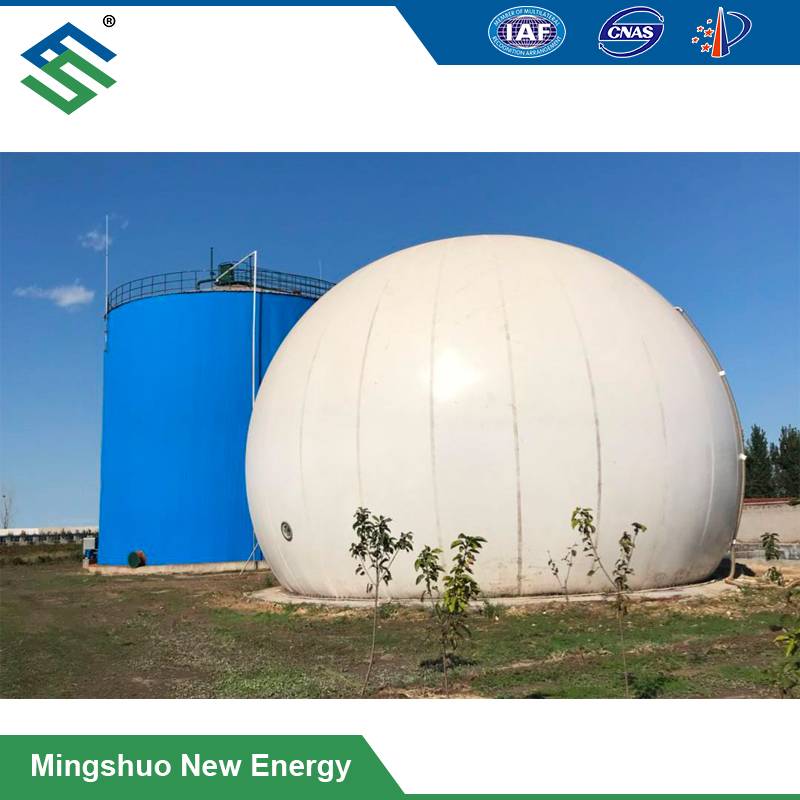 Factory Supply Agricultural Farm Waste Treatment - Double Membrane Biogas Storage Balloon – Mingshuo