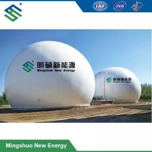 High Quality Biogas Plant - PVDF Biogas Storage Holder for Combined Heat and Power Project – Mingshuo