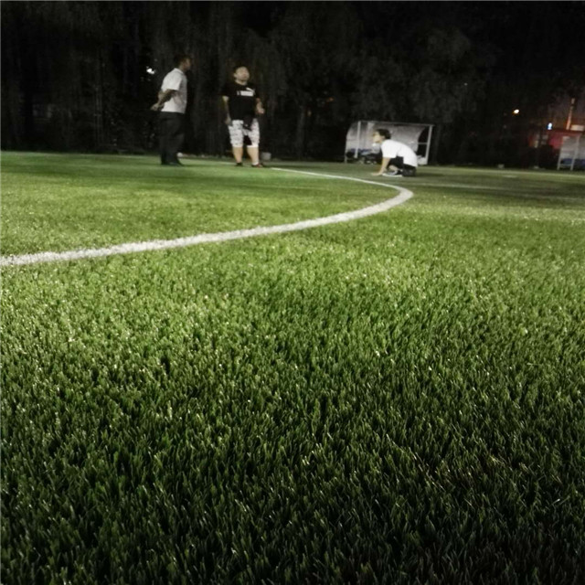 Artificial grass0