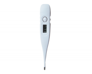 Basal Rigid Tip Auto-off Thermometer DMT-1027
