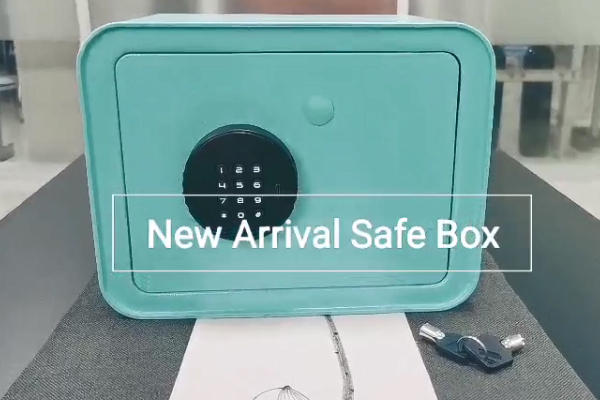 New Arrival: Mini Safe Box