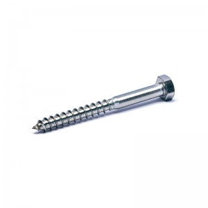 Cheapest Price  SS Pigtail Screw - Lag Screw – SIDA