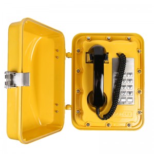 China Gold Supplier for China Weatherproof Broadcasting Telephone for Tunnels, Vandal Resistant Industrial Hotline Telephone