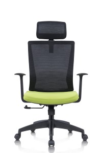 Transparent Height Adjust Lumbar Support Mesh Chair