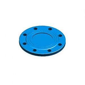 flanges blank