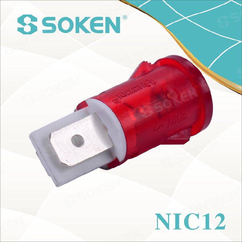 Neon Indicator Light with 110V, 125V, 24V, 12V