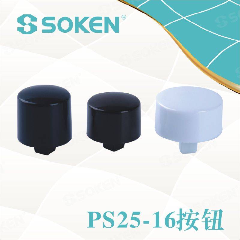 Soken Oven Push Button Switch PS25-16-2