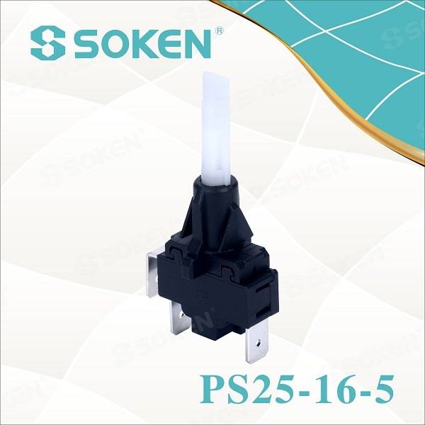 Soken Self-Locking Steamer Push Button Switch PS25-16-5 2pole