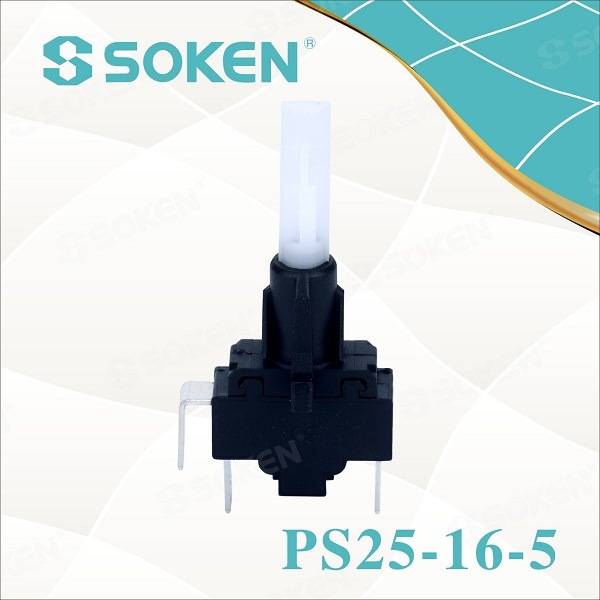 Soken Self-Locking Steamer Push Button Switch PS25-16-5 2pole