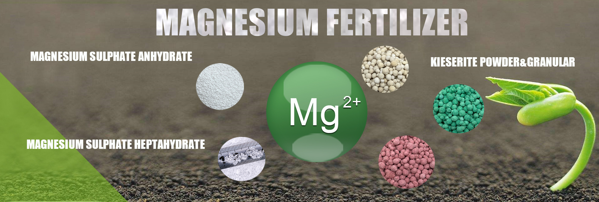 Magnesium sulfate 