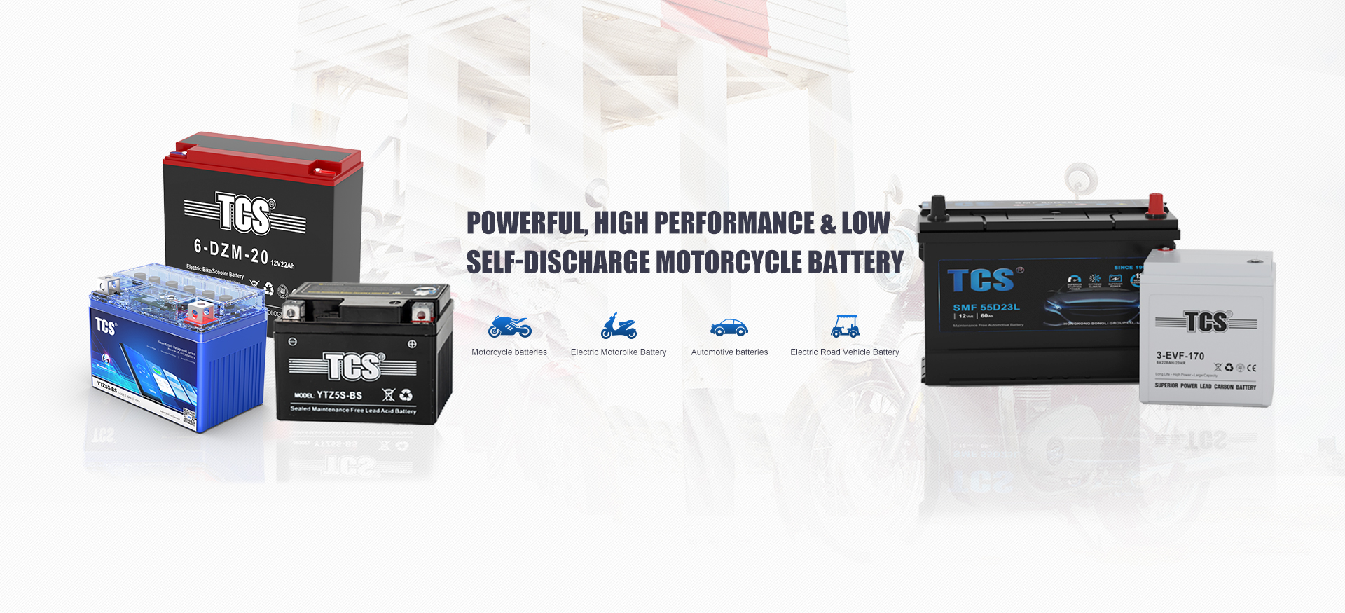 China TCS dry charged maintenace free lead acid motorcycle battery