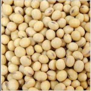 5kg Beans/Rice/Nuts/Sugar Vertical Packing Machine