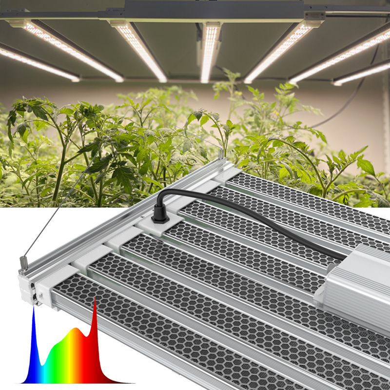 Plant Led - Samsung Lm301H Lm301B Led Light 1000W For Grow – Pvison