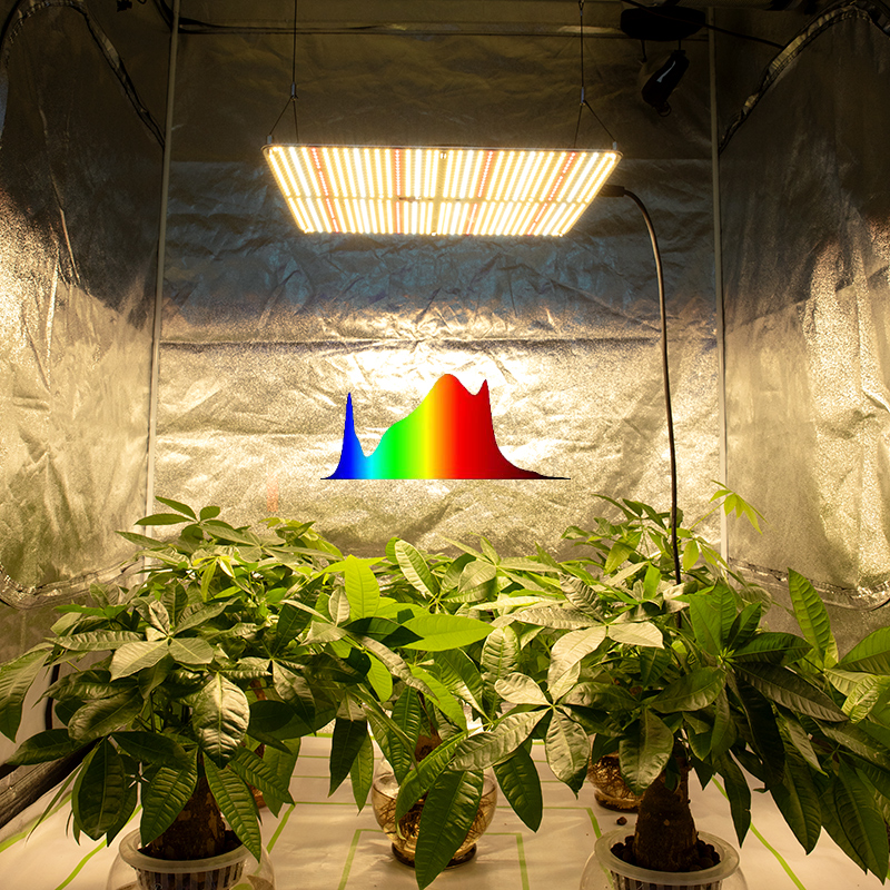 Grow Led Strip Light - Quantum Board Led Grow Light 150W Indoor – Pvison