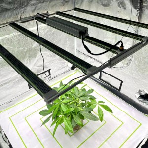 730W growing light for indoor plants