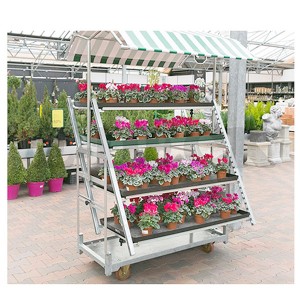 Carrelli per fiori olandesi per lo stoccaggio di piante mobili all'ingrosso con ruote