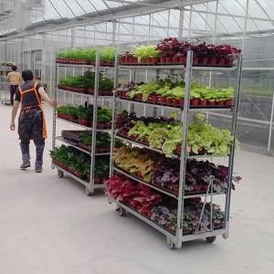 Wholesale Mobile Plant Storage Dutch Flower Trolley Carts with Wheels