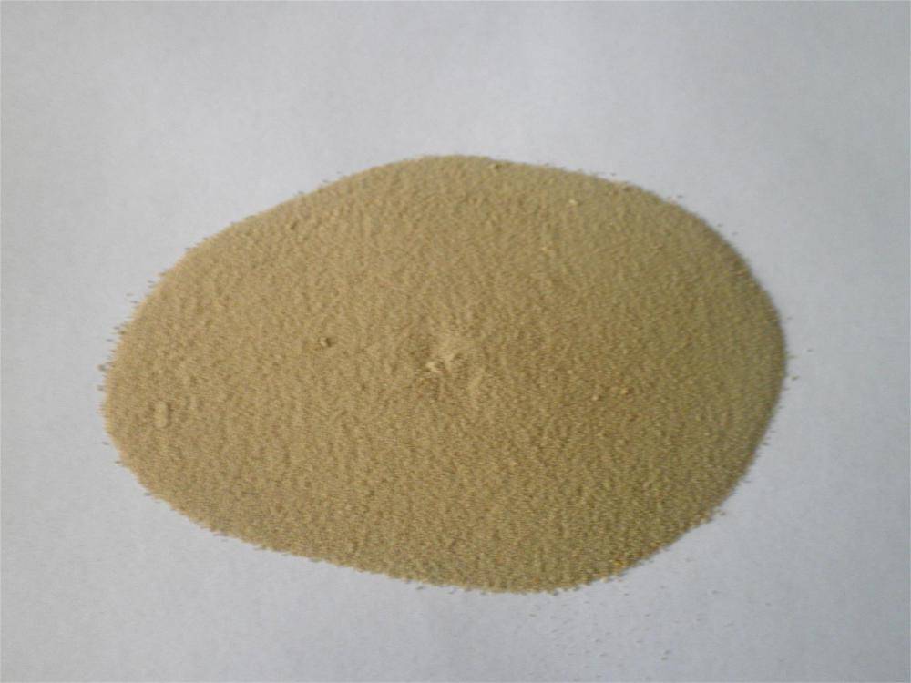 goldbeater’s skin Protein powder