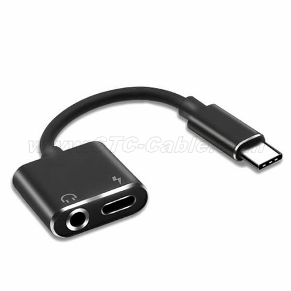 2 in 1 USB-C to 3.5mm Audio Adapter