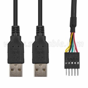 Dual USB 2.0 Type A Male to Dupont 10 Pin Male Header Motherboard Cable