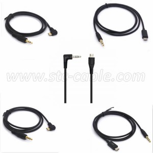 Micro USB to AUX Cable
