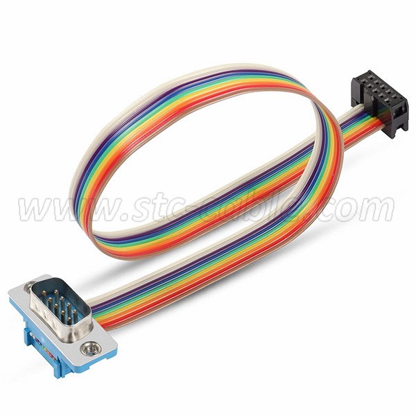 DB9 Male crimp to IDC 10 Pin flat rainbow cable