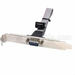 DB9 Male to IDC 10Pin Female Ribbon Cable with Bracket Panel