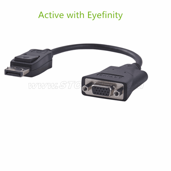 DisplayPort to VGA Active Adapter